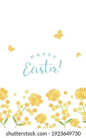 vector background with canola flower for banners, cards, flyers, social media wallpapers, etc.