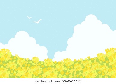 vector background with canola flower field on sky for banners, cards, flyers, social media wallpapers, etc.