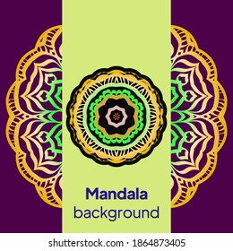 Vector background. Card or invitation. Floral mandala decorative elements. Hand drawn background.