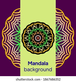 Vector background. Card or invitation. Floral mandala decorative elements. Hand drawn background.