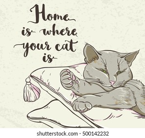 Vector background with cat sleeping on a pillow and lettering.