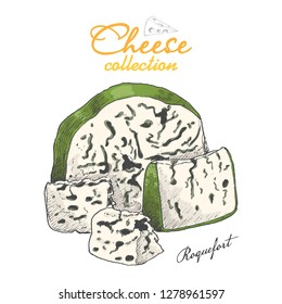 Vector background with cheese. Vector illustration for your design