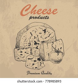 Vector background with cheese. Vector illustration for your design