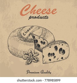 Vector background with cheese. Vector illustration for your design