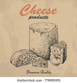 Vector background with cheese. Vector illustration for your design