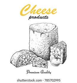 Vector background with cheese. Vector illustration for your design