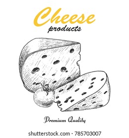 Vector background with cheese. Vector illustration for your design