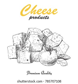 Vector background with cheese. Vector illustration for your design