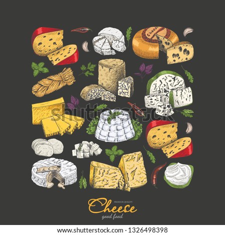 Vector background with cheeses in sketch style. Vector illustration for your design
