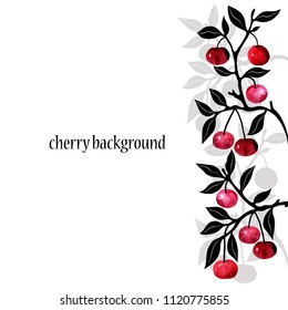 Vector background with cherries on branches. Vector illustration on white background.Template.