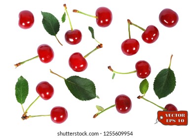 Vector background with cherries. Red ripe cherry berries and leaves on white background.