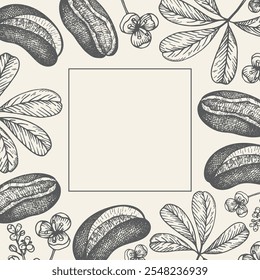 Fondo de Vector con vid de chocolate, o akebia de cinco hojas, planta comestible y medicinal. Borde botánico dibujado a mano con frutas, hojas y flores de Akebia quinata para texto. Plantilla de diseño para la etiqueta