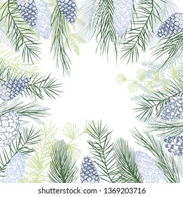 Vector background  with Christmas plants. Hand-drawn ilustration.