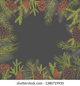 Vector background  with Christmas plants. Hand-drawn ilustration.