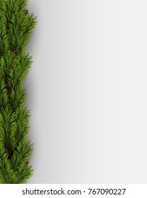 Vector background with Christmas tree Branches and pine cones. Vector christmas border