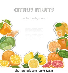Vector background with citrus fruits. Vector illustration for your design
