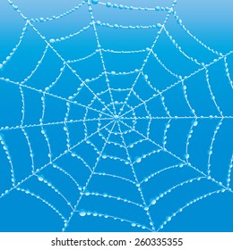 Vector background. Cobweb.