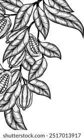 Vector background with cocoa . Hand drawn. Vintage style