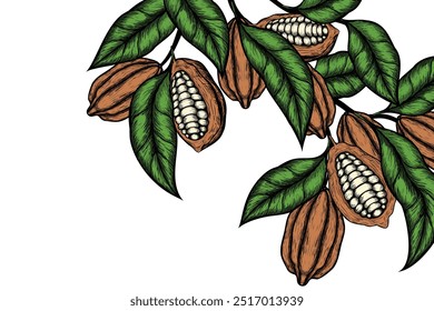 Fundo vetorial com cacau . Mão desenhada. Estilo vintage