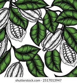 Vector background with cocoa . Hand drawn. Vintage style