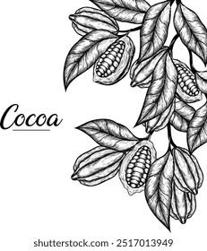 Vector background with cocoa . Hand drawn. Vintage style