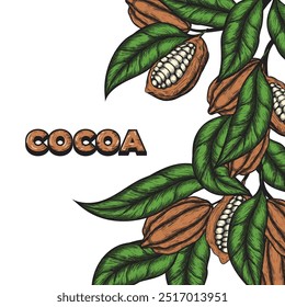 Vector background with cocoa . Hand drawn. Vintage style