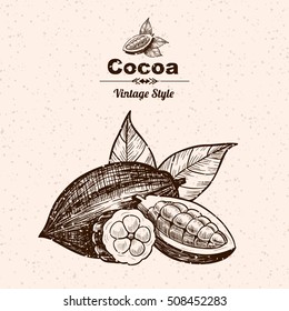 Vector background with cocoa . Hand drawn. Vintage style