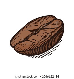 Vector background with coffee macro. Hand drawn. Vintage style