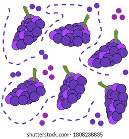 Fondo vectorial de la recogida de 
uvas moradas y rayas en morado. se puede utilizar como fondo y fondo.