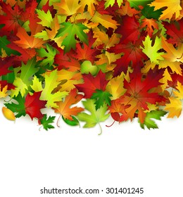 Vector background with colorful autumn leaves, card template, natural backdrop