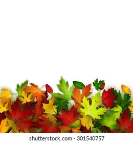 Vector background with colorful autumn leaves, card template, natural backdrop