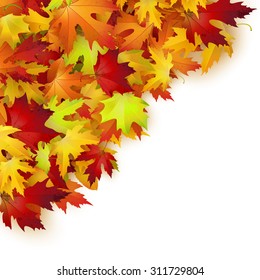 Vector background with colorful autumn leaves, card template, natural backdrop