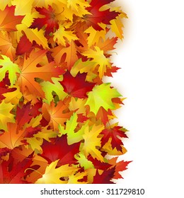 Vector background with colorful autumn leaves, card template, natural backdrop