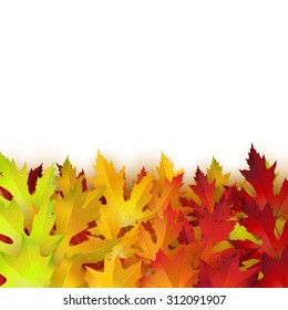 Vector background with colorful autumn leaves, card template, natural backdrop