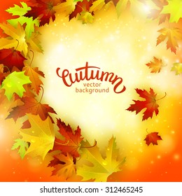 Vector background with colorful autumn leaves, card template, natural backdrop