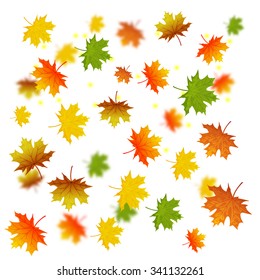 Vector background with colorful autumn leaves