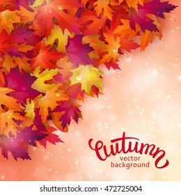 Vector background with colorful autumn leaves, card template, natural backdrop