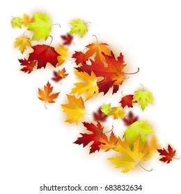 Vector background with colorful autumn leaves, banner, card template