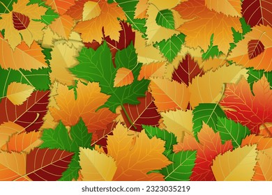 Vector background of colorful bright autumn leaves, red, yellow, orange and green colors. Maple and birch leaves