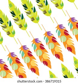 Vector background with colorful decorative feathers and circles on white background
