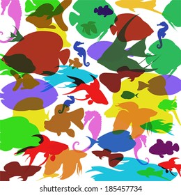 Vector background with colorful fish sea horses on a white background