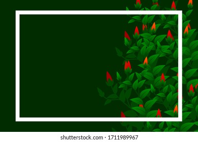 fondo vectorial de plantas de flores coloridas