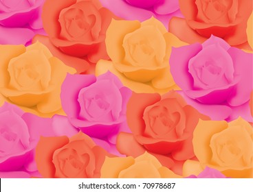 vector background with colorful roses
