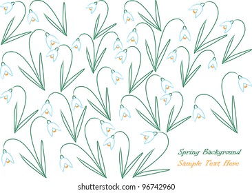 vector background with colorful snowdrop flowers isolated on white background and place for your text