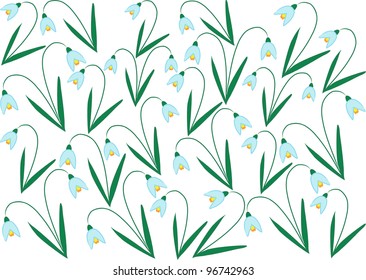 vector background with colorful snowdrop flowers isolated on white background