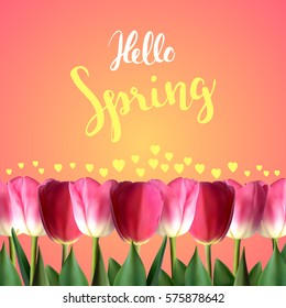 Vector background with colorful tulips and quote Hello Spring