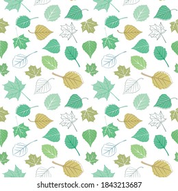 Vector background consisting of different leaves of a tree