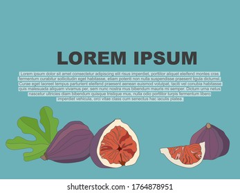 Vector background with copy place. Cartoon image of figs whole and in a cut and leaves.
