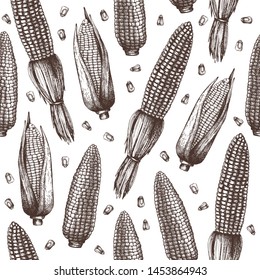 Vector background with corn cobs illustration. Hand drawn maize sketch. Food seamless pattern with vintage cereal plants drawing. Healthy food design. Great for packaging, banner, menu, label. 