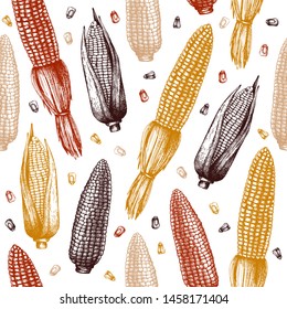 Vector background with corn cobs illustration. Hand drawn maize sketch. Food seamless pattern with vintage cereal plants drawing. Healthy food design. Great for packaging, banner, menu, label. 